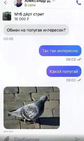 ллександы В сети Мтб дёрт стрит 16 000 Обмен на попугая интересен? 00:05 09:00