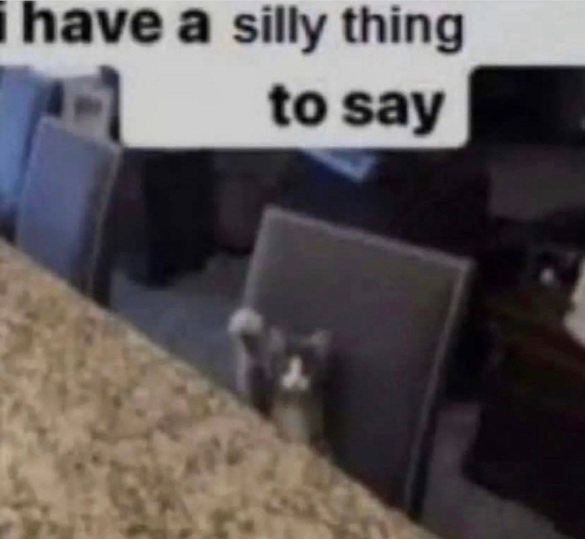 have а silly thing