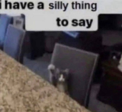 have а silly thing