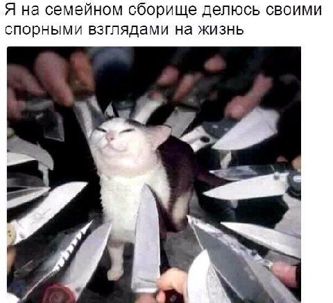 Я на семейном сборище делюсь своими спорными взглядами на жизнь