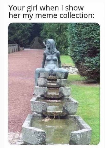 Your girl when show her my meme collection: