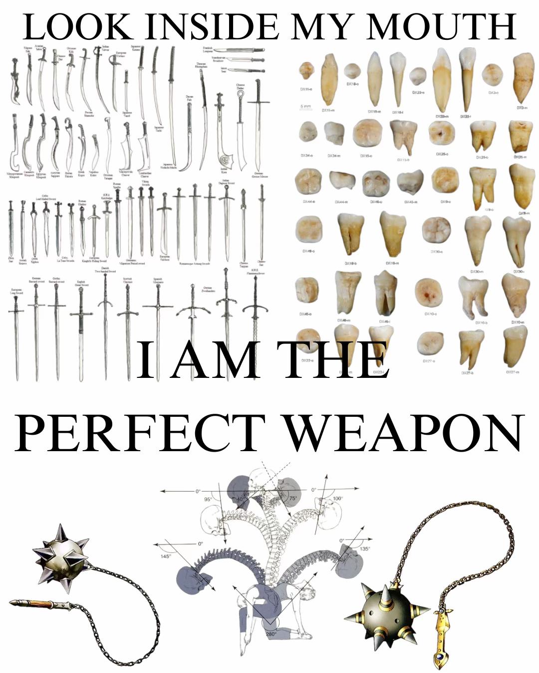 PERFECT WEAPON