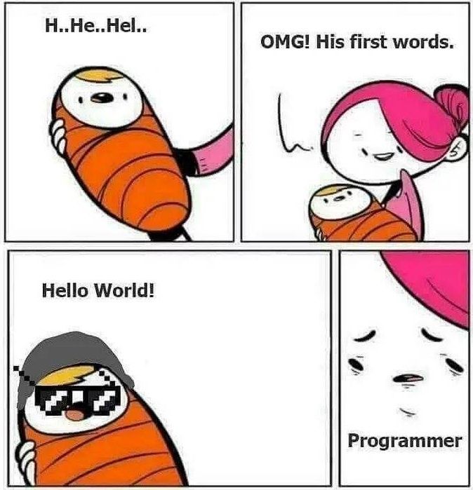 OMG! His first words. i=) Hello World! Programmer