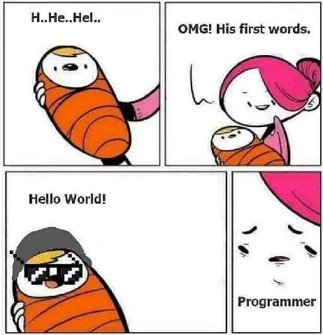OMG! His first words. i=) Hello World! Programmer