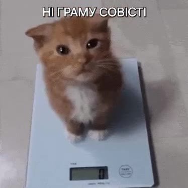 А ПРАМУДСОВ!С Л! 'НПРАМУСОВ"СТ! | ЦРАМУФОВИСТ РАН ГРАМУС9 'НППРАМУСОВ!СТ!