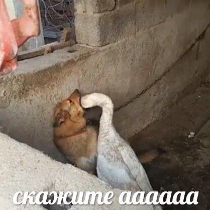 i аааааа