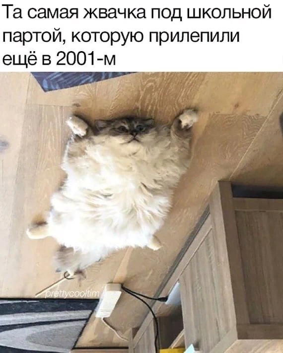 самая жвачка под школьной партой, которую прилепили ещё в a i 4