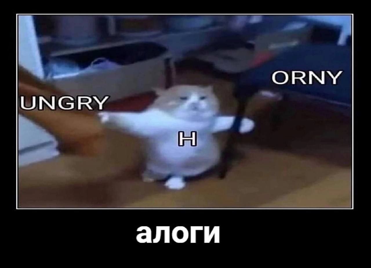ORNY UNGRY алоги