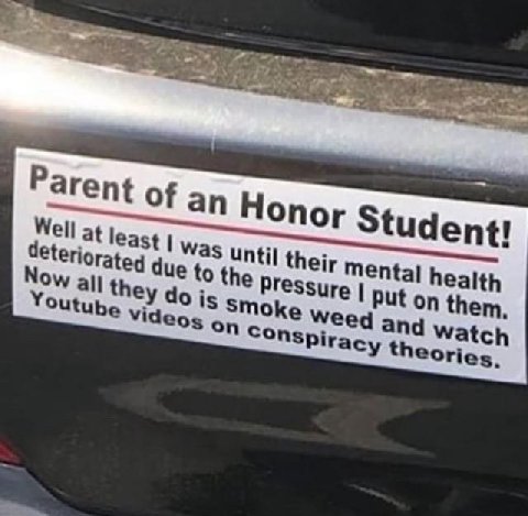 Parent Of an Honor Student! Well at least Was until their mental health due to the Pressure Put on them, Now all they is Smoke Weed and Watch Youtube Videos theories.