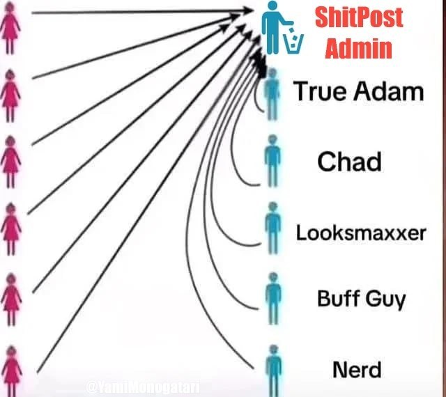 1 True Adam Chad 1 Looksmaxxe 1 Buff Guy 1 Мега