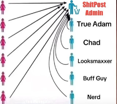 1 True Adam Chad 1 Looksmaxxe 1 Buff Guy 1 Мега