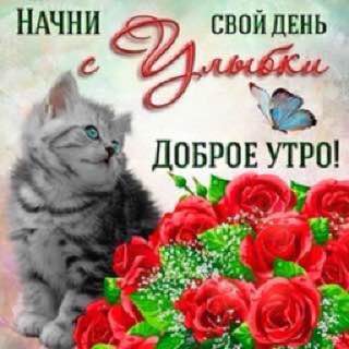 НАЧНИ СВОЙ ДЕНЬ ДОБРОЕ УТРО!