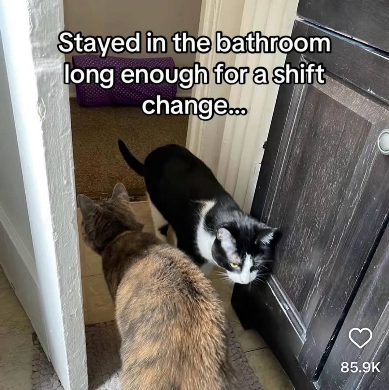 bathroom Stayed in the forgatshift long enoug chang К