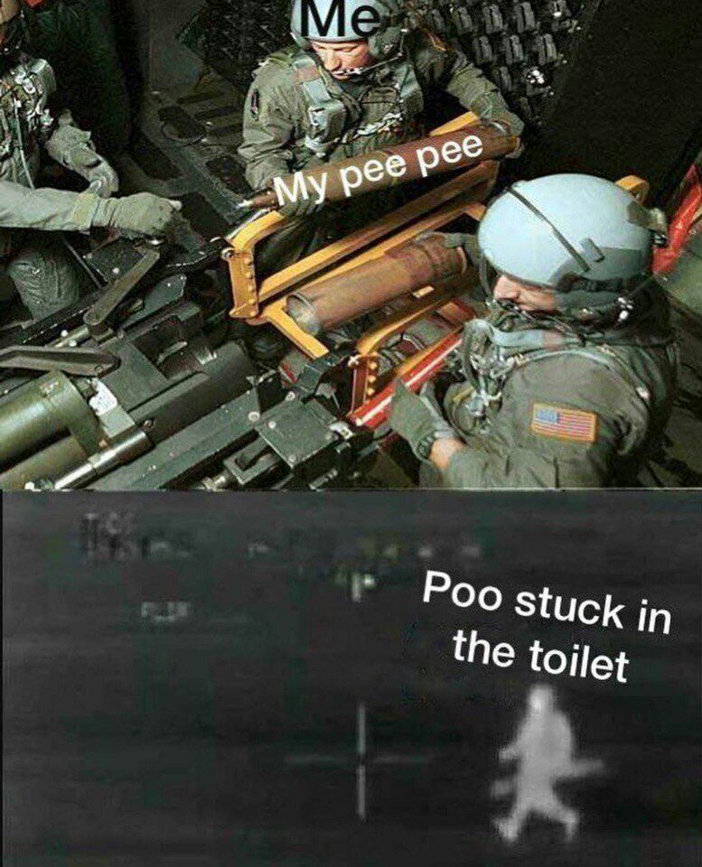Stuck in he toilet a