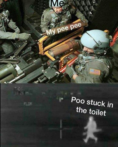 Stuck in he toilet a