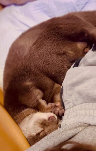 А это что это за пожилой кайфарик?! Неужели Кинака пусечный 🥰

Получаится точно он ❤️