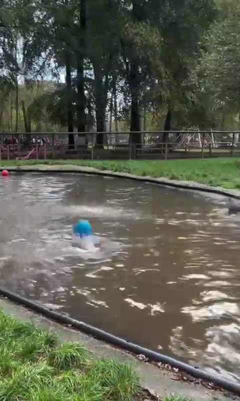 Вот это жизнь...