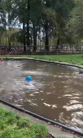 Вот это жизнь...