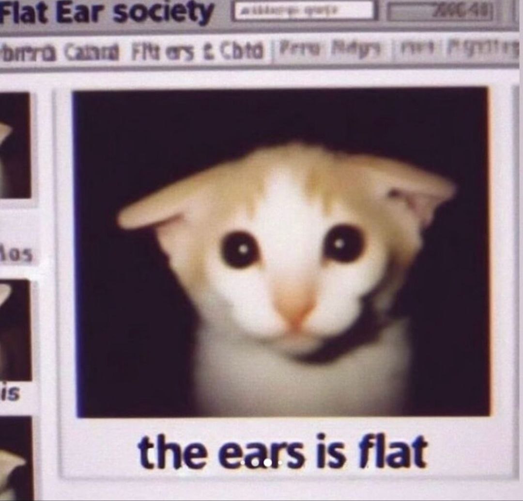 о the ears is flat