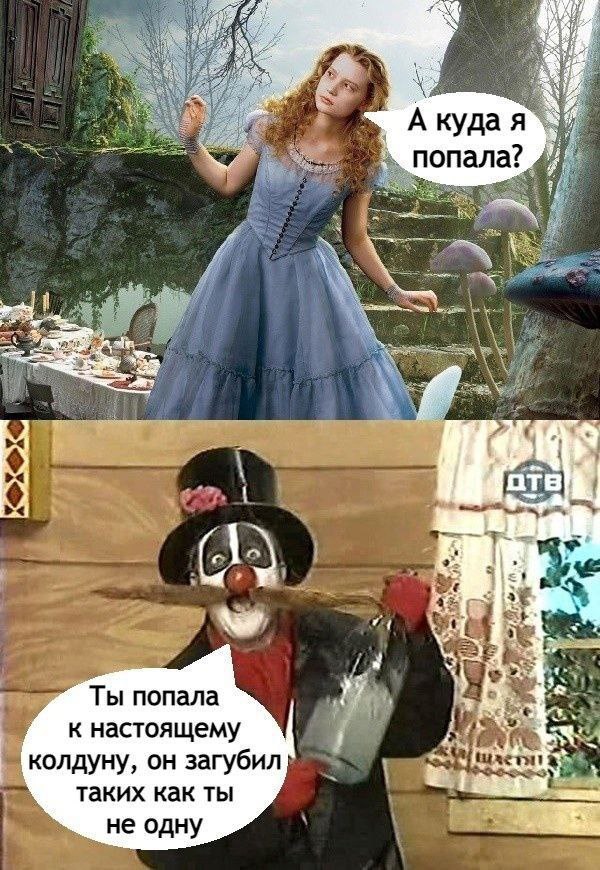 А куда я попала отв (1 aS "4 Ты попала к настоящему колдуну, загубил таких как ты не одну