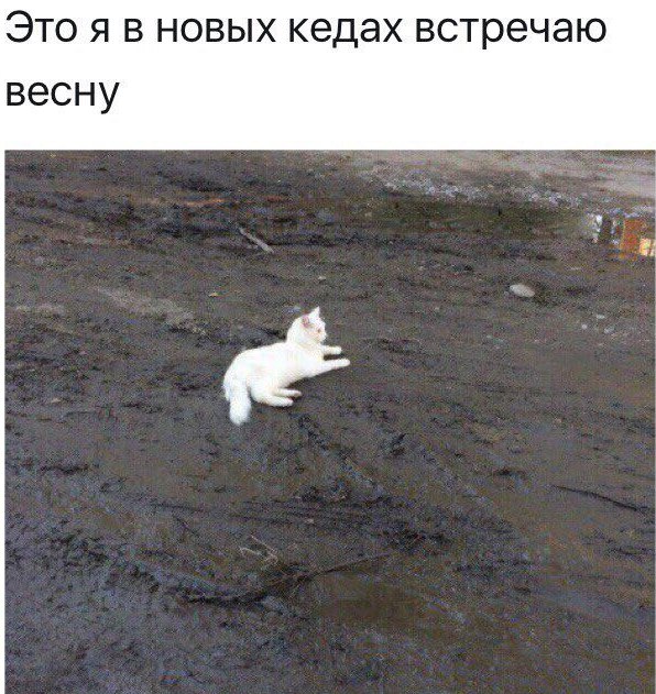 Это я в новых кедах встречаю весну