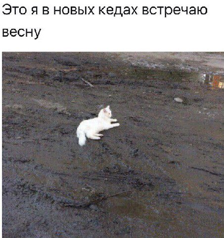 Это я в новых кедах встречаю весну
