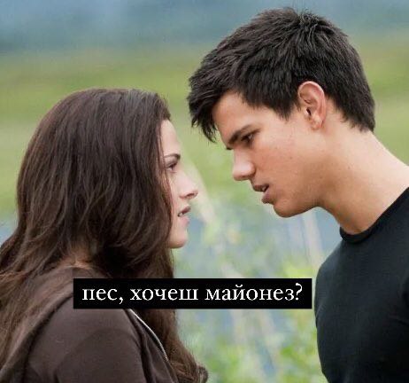 пес, хочеш майонез?