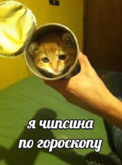 я чилсина по гороскоп