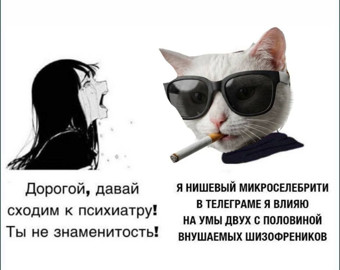 Дорогой, давай Я НИШЕВЫЙ МИКРОСЕЛЕБРИТИ В ТЕЛЕГРАМЕ Я ВЛИЯЮ сходим к психиатру! НА УМЫ ДВУХ С ПОЛОВИНОЙ Ты не ВНУШАЕМЫХ ШИЗОФРЕНИКОВ