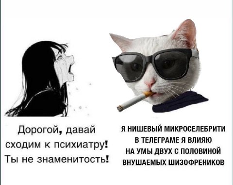 Дорогой, давай Я НИШЕВЫЙ МИКРОСЕЛЕБРИТИ В ТЕЛЕГРАМЕ Я ВЛИЯЮ сходим к психиатру! НА УМЫ ДВУХ С ПОЛОВИНОЙ Ты не ВНУШАЕМЫХ ШИЗОФРЕНИКОВ