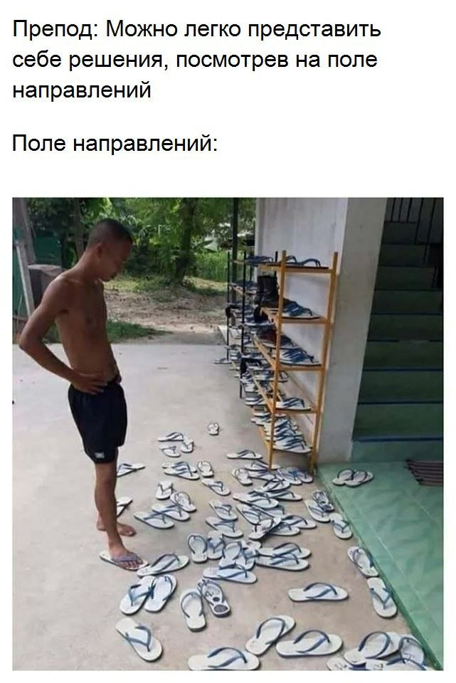 Препод: Можно легко представить себе решения, посмотрев на поле направлений Поле направлений: as