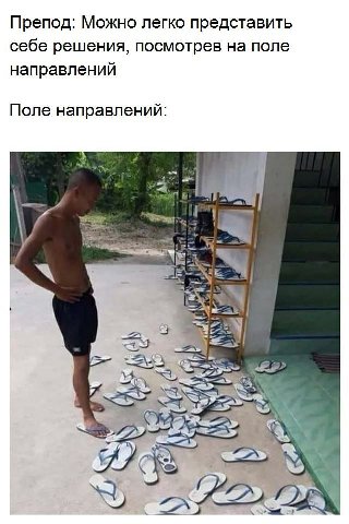 Препод: Можно легко представить себе решения, посмотрев на поле направлений Поле направлений: as