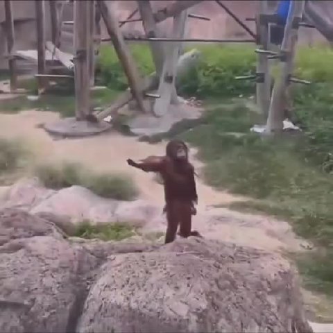 у
