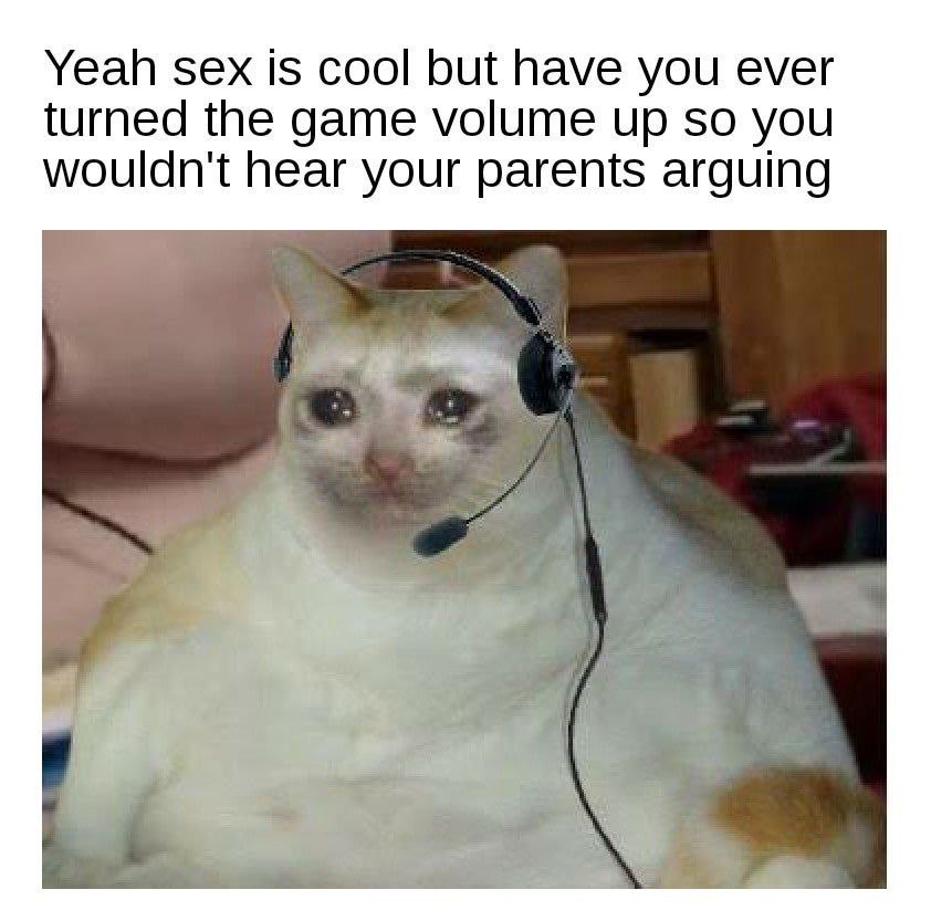 Yeah sex is cool but have you ever turned the game volume up so you wouldn't hear your parents arguing
