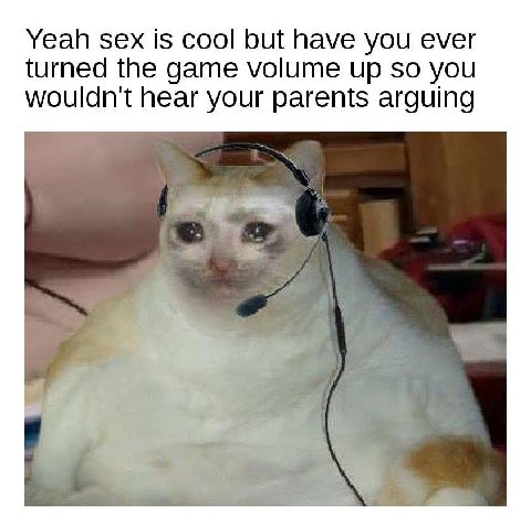 Yeah sex is cool but have you ever turned the game volume up so you wouldn't hear your parents arguing