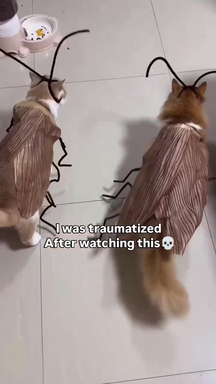 ~) Aftemwatching\thist Ума вкаитачееч |" №