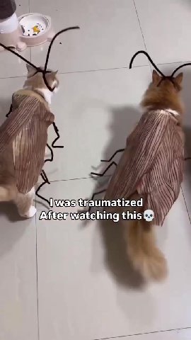 ~) Aftemwatching\thist Ума вкаитачееч |" №