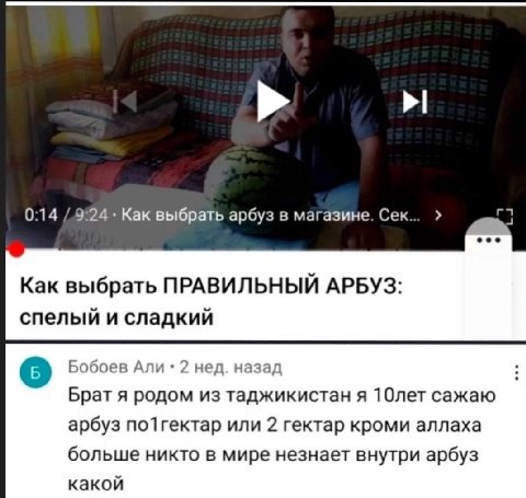 0:14 Как выбрать арбуз в магазине. Сек.. eee Kak выбрать ПРАВИЛЬНЫЙ АРБУЗ: спелый и сладкий Бобоев Али нед. назад Брат я родом из таджикистан я 10лет сажаю арбуз по1гектар или 2 гектар кроми аллаха бо
