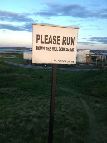 PLEASE RUN DOWN THE HILL SCREAMING ORDER OF