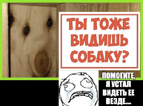 ТЫ ТОЖЕ ВИДИШЬ СОБАКУ? Я УСТАЛ ВИДЕТЬ ВЕЗДЕ.