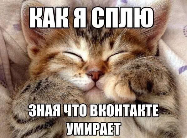 СПЛЮ ЗНАЯ ЧТО УМИРАЕТ