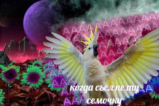 когда