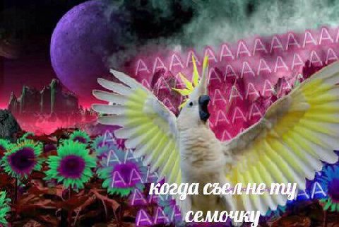 когда