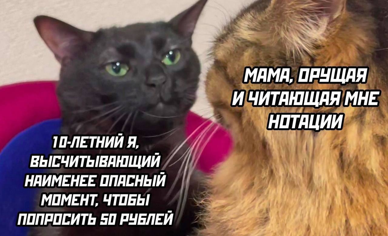 MAMA, ПРУЩАЯ И МНЕ НОТАЦИИ Я, ВЫСЧИТЬЫВАЮЩИИ НАИМЕНЕЕ ОПАСНЫЙ МОМЕНТ, ЧТОБЫ ПОПРОСИТЬ 50 РУБЛЕЙ