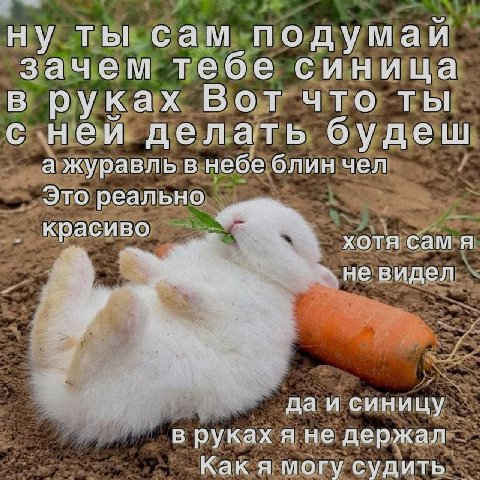 ну ты сам подумаи зачем тебе синица в руках Вот что ты с неи делать будеш а журавль в небе блин чел Это реально красиво хотя сам я не видел даи синицу в руках я не держал Как я могу судить