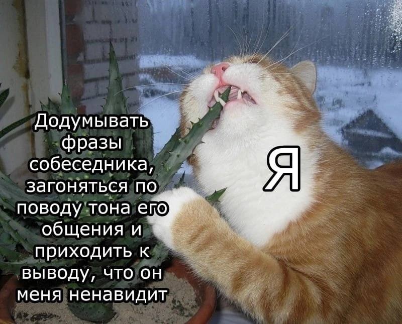 Додумывать фразы собеседника, загоняться по поводу тона of общения и приходить к выводу, что он меня ненавидит