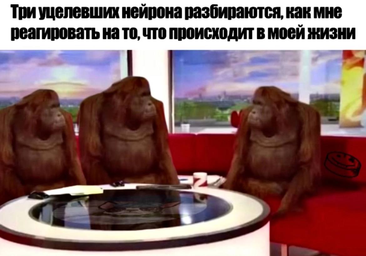 Три уцелевших нейрона разбираются, как мне реагировать на то, что происходит в моей жизни a