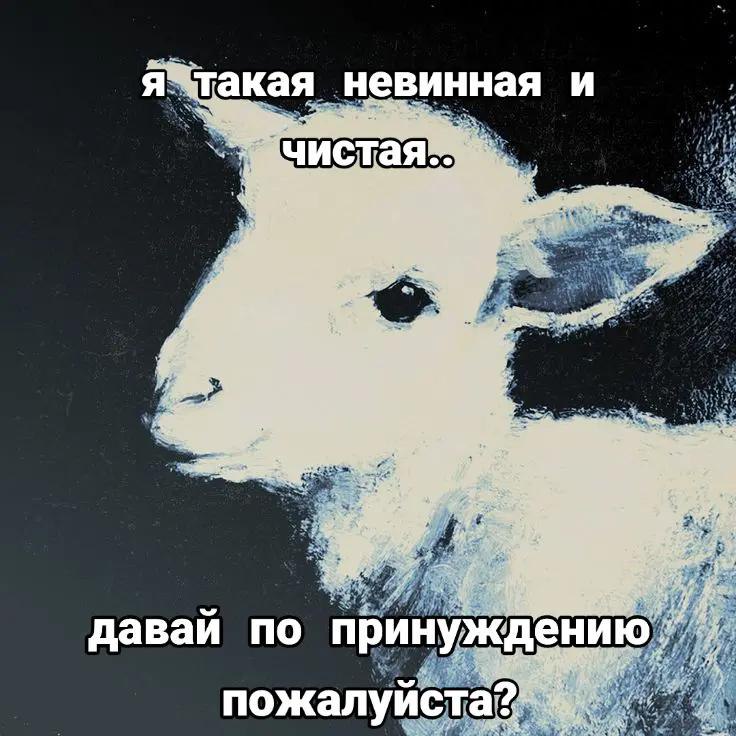 И ‘такая невинная in 25} 4 давай по принуждению пожалуйста?