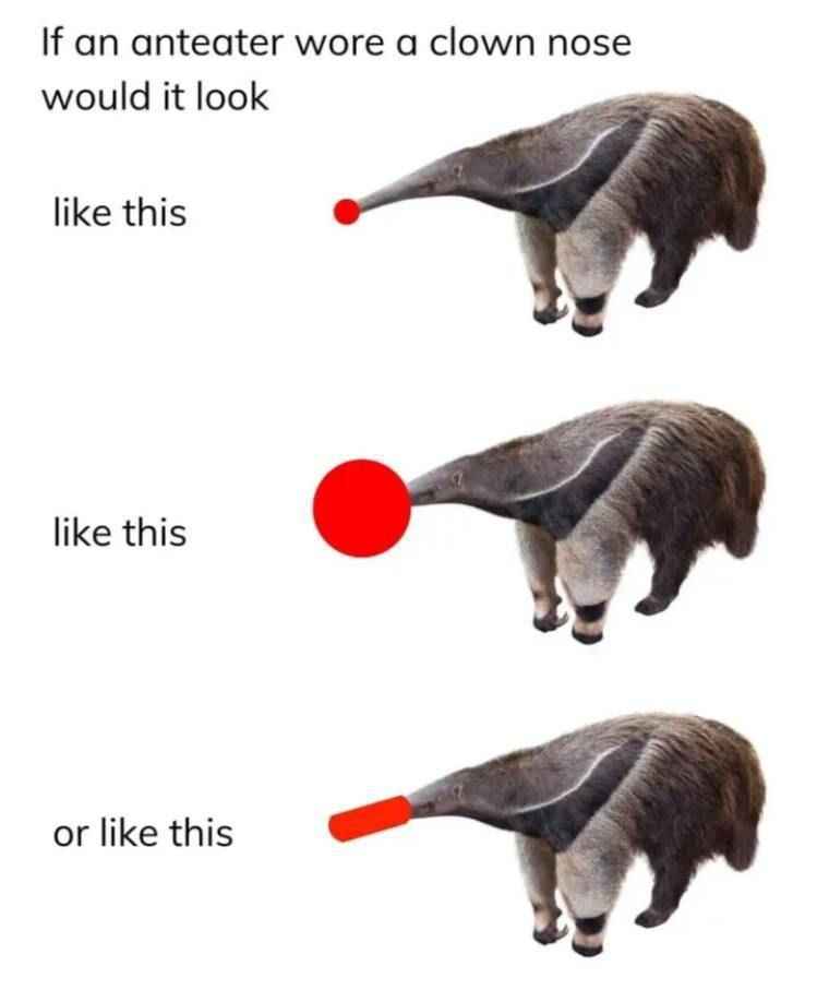 an anteater wore а clown nose would it look like this like this or like this