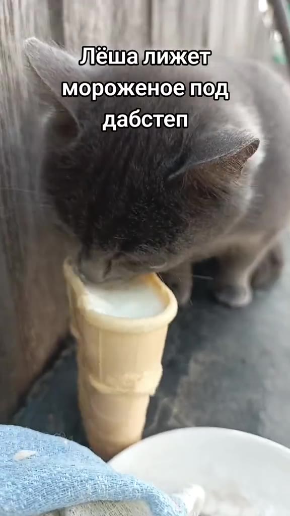 = мороженоепод Py лешалижет я | Мороженое ey | Лешалижем ту дабстеп 1 мороженое non |